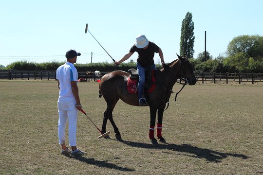 Horse & Polo in Windsor  UK  Private Tours and Travel Guide Europe London CITY London Destination Tour