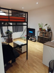 Profitez d'un logement élégant et chaleureux au cœur même de Lyon, de quoi avoir Lyon, France Appartement Cosy Hôtel de Ville Entire rental unit vacation rental 777442647613851637