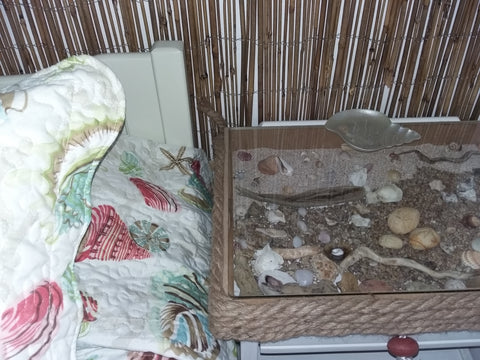 A sunshiny cute  studio, with decoration that gives the feeling of being on a be Chania, Greece DIMITRASTUDIO "Living on the beach" Entire condo vacation rental 12993735