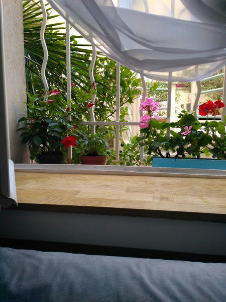 The studio is located on the first floor. The entrance is separate. The windows  Paris, France Studio for rent. Comfortable. Gut. Entire condo vacation rental 29953089