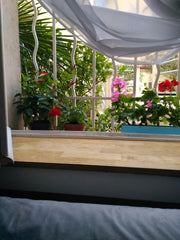 The studio is located on the first floor. The entrance is separate. The windows  Paris, France Studio for rent. Comfortable. Gut. Entire condo vacation rental 29953089