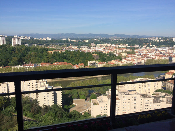 Dans le quartier très agréable de la croix rousse (marché tous les jours), cet a Lyon, France Vue imprenable spacieux croix rousse Entire rental unit vacation rental 12860416