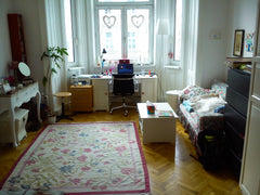 I'm leaving for 1 week, offering you a possiblity to stay in a wonderful apartme Vienna, Austria A lovely room in the center Private room in rental unit vacation rental 12640429