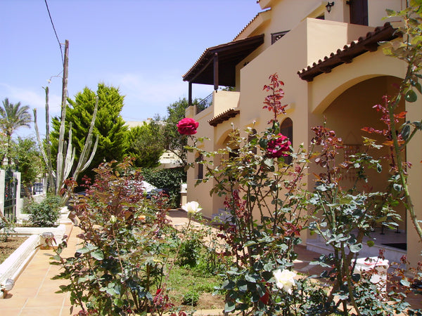 Large and comfortable traditional villa in Platanias in Crete, right next to the Chania, Greece Villa Giasemi, In a Garden of Roses Entire home vacation rental 450024