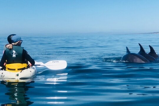 Kayak Rental for Two People in La Jolla  Private Tours and Travel Guide America Los Angeles CITY La Jolla Destination Tour