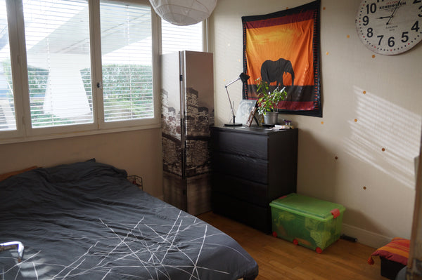 Je mets à disposition une des chambres de mon appartement. Situé sur le plateau  Lyon, France Ch confortable à Croix Rousse Private room in rental unit vacation rental 12601978