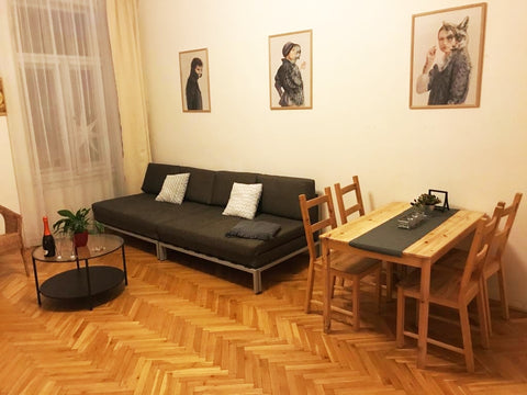 <b>Other things to note</b><br />Check out after 11.00am will be charge 6,-Euro  Praha, Czechia David Relax Apartment-big flat city center Entire rental unit vacation rental 23032761