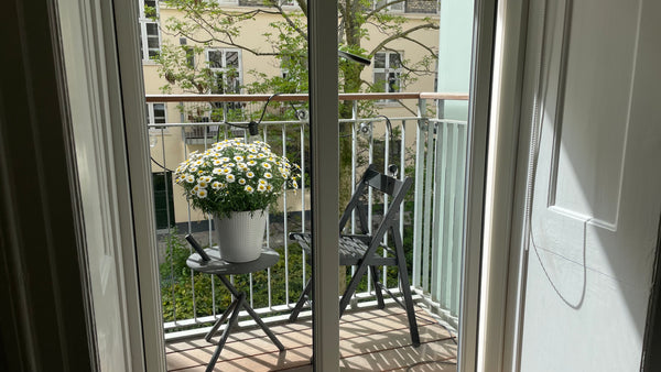 Charming Copenhagen apartment with newly renovated bathroom and kitchen in the h Copenhagen, Denmark Beautiful two room apartment in trendy Vesterbo Entire condo vacation rental 560706584392998477