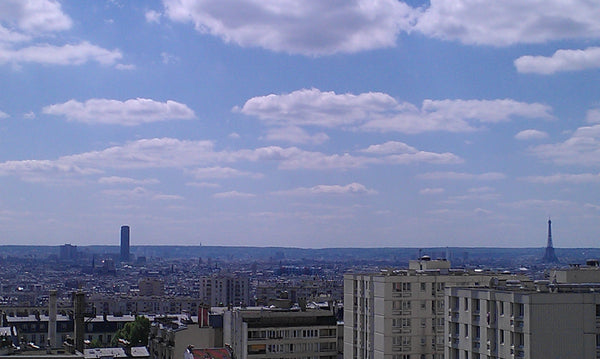 Ce grand et lumineux appartement, rénové en 2011, est situé au 8ème et dernier é Lausanne, Switzerland Terrasse avec vue sur Paris Entire rental unit vacation rental 3738158