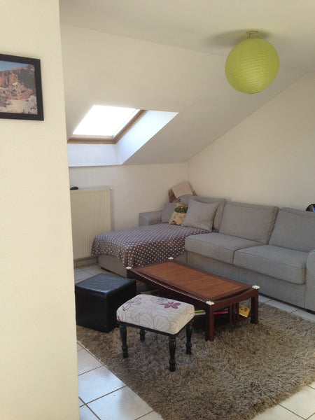 Appartement familial avec une chambre parentale et une chambre enfant + un canap Grenoble, France Appartement dernier étage et grande terrasse Entire rental unit vacation rental 12497629