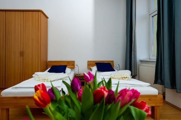 Welcome to the modern apartment. WE OBSERVE ALL COVID 19 HYGIENE MEASURES.<br /> Vienna, Austria Moderne 2-Zimmer Wohnung in Wien Entire rental unit vacation rental 41094039