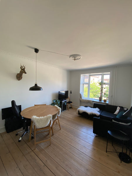 Two room apartment with kings sized bed and a sleeping sofa, in the middle of Nø  Two room apartment central Copenhagen with balcony Entire condo vacation rental 656363146754794593