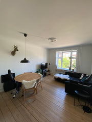Two room apartment with kings sized bed and a sleeping sofa, in the middle of Nø  Two room apartment central Copenhagen with balcony Entire condo vacation rental 656363146754794593