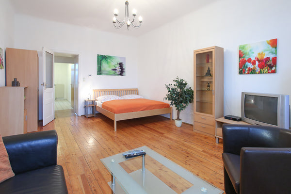 Die Wohnung ist gross, hell und liegt perfekt um die Stadt zu entdecken. Bis zu  Vienna, Austria Grosse Wiener Altbauwohnung mit Flair Entire rental unit vacation rental 19943028