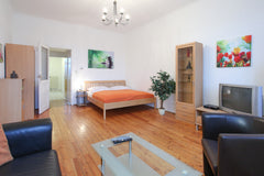 Die Wohnung ist gross, hell und liegt perfekt um die Stadt zu entdecken. Bis zu  Vienna, Austria Grosse Wiener Altbauwohnung mit Flair Entire rental unit vacation rental 19943028