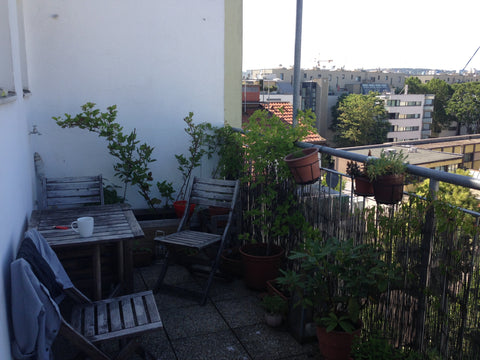 I am renting out my room from June 16th until July 31st, preferably long term. T Vienna, Austria 30m2 loft-like room w/ terrace Private room in rental unit vacation rental 13426423