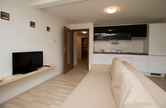 Newly renovated attic quiet apartment in the heart of Prague ... Beautiful and q Prague, Czechia Greg Apartments Kampa XI Prague Entire serviced apartment vacation rental 12416680