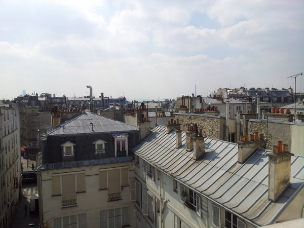 The apartment is quiet with a beautiful terrace and a nice view over Paris.<br / Paris, France Stay in Montmartre place 
