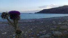 The studio (semi basement) is 45m and it  has a bedroom with two beds (one doubl Greece KRIOS MARE- STUDIO NEXT TO THE SEA - KRIOS BEACH Entire home vacation rental 11922091