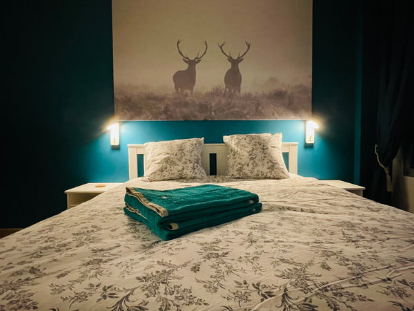 Grand appartement tout confort entièrement rénové avec des prestations haut de g Lyon, France Standing 2 chambres avec parking Entire rental unit vacation rental 777434147826998481