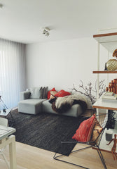 Adorable apartment with two balconies on the first floor of a four floor buildin Antwerp, Belgium adorable apartment near the city centre Entire rental unit vacation rental 49266030