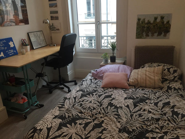 Chambre privée dans un bel appartement lyonnais au coeur de la Presqu'île. A deu Lyon, France Chambre privée dans bel appartement lyonnais Private room in rental unit vacation rental 40155195