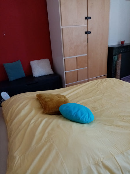 Simplifiez-vous la vie dans ce logement paisible et central. Vous êtes comme à l Bordeaux, France T 2 en plein centre, avec terrasse privée ! Entire rental unit vacation rental 666760037727718431