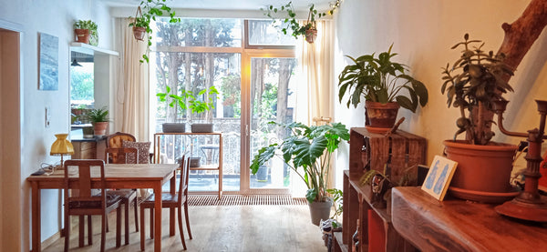 Very charming and cosy apartment right in the middle of town with a terrace, and Antwerp, Belgium 🌱 Cosy apartment with garden on a top location 🌱 Entire rental unit vacation rental 51797301