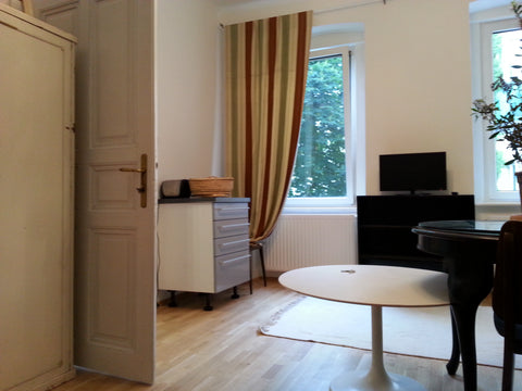 Cosy Viennese apartment, brand new bath, at 2nd floor. Charming, light and quiet Baden bei Wien, Austria historic Studio Apartment Mariahilf Entire rental unit vacation rental 8898822