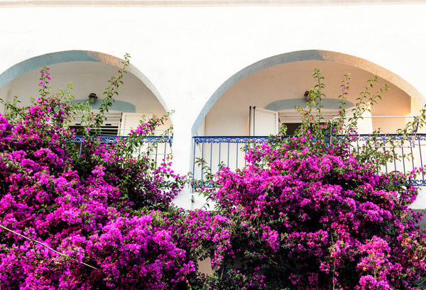 SIttuated at the iconic village of Myrties, 60 metres from the beach, this affor Greece Popi's Studios Myrties Kalymnos A Entire rental unit vacation rental 32910821