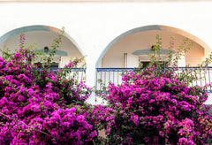 SIttuated at the iconic village of Myrties, 60 metres from the beach, this affor Greece Popi's Studios Myrties Kalymnos A Entire rental unit vacation rental 32910821