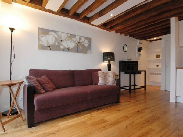 This tastefully decorated and very well situated 24 square meters , Studio, apar  Musée Rodîn Entire rental unit vacation rental 5900117