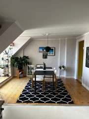 Stay in the heart of Copenhagen cozy and cool neighbourhood, Norrebro. 2 bedroom Copenhagen, Denmark Cozy 2 bedroom in the world’s coolest hood Entire condo vacation rental 611332941500839713