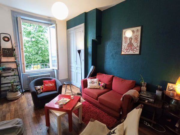 Venez découvrir Lyon depuis le quartier Jean Macé. 15 minutes du centre de Lyon  Lyon, France Chambre chez l'habitant dans appartement cosy Private room in rental unit vacation rental 51950838