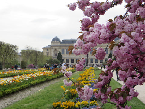 Appartement  1900 Jeanne d’Arc. Charme et élégance à la parisienne, appartement  Île-de-France, France Appartement Cosy, parking gratuit protégé, Paris Entire rental unit vacation rental 18411135