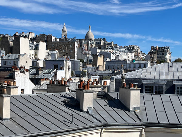 Appartement charmant de 60 m2 avec vue magnifique sur les toits de Paris (et mêm Paris, France Au coeur de Montmartre avec vues Entire rental unit vacation rental 4200557