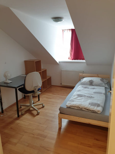 Genieße einfachen Zugang zu allem von dieser perfekt gelegenen Unterkunft aus.  Single room in Vienna, nxt main train st-n, metro Private room in rental unit vacation rental 703457630259140047