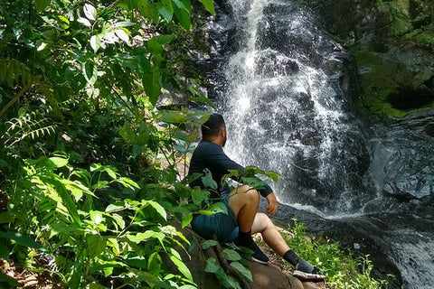 Relaxing Forest Bath Experience in Foz do Iguaçu  Private Tours and Travel Guide America Sao Paulo CITY Foz do Iguacu Destination Tour America Sao_Paulo CITY Foz do Iguacu