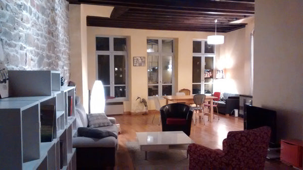 Grand appartement de 80m² sur les quais de Saône, à 10 minutes à pied de l'hyper Lyon, France Appartement vu sur quai de Saône Entire rental unit vacation rental 9969055