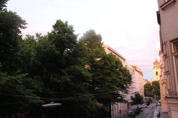 Kleines aber gemütliches Zimmer in einer schnuckeligen Altbauwohnung im Herzen W Berlin, Germany Gemütliches Zimmer in zentraler Lage Private room in rental unit vacation rental 19411799