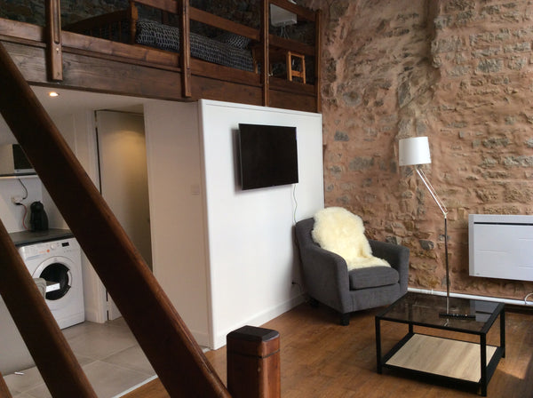 En plein coeur d’Ainay , ce logement authentique vous accueillera avec tout le c  Studio mezzanine tout confort plein coeur d’Ainay Entire rental unit vacation rental 24461048