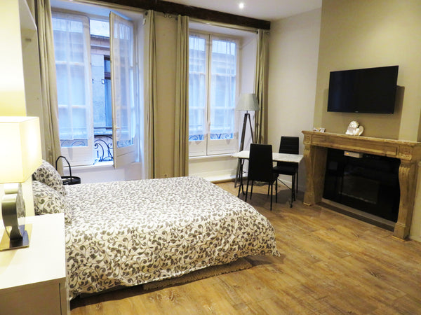 Dans un immeuble ancien style Renaissance, très calme 1er étage entièrement réno Saint-Raphaël, France Studio VIEUX LYON, Cachet ancien/modernité Entire rental unit vacation rental 24445367