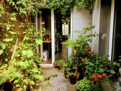 This cosy, bright ground floor appartment is an ideal stay to enjoy the city of  Antwerp, Belgium Vintage appartment in lively though queit area Entire rental unit vacation rental 38202647