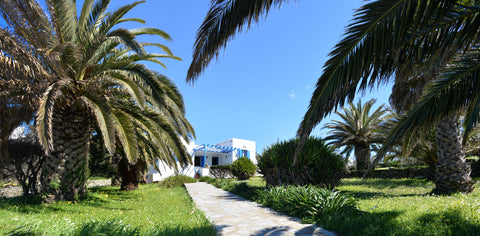 A beautiful traditional Cycladic house in the amazing island of Tinos.The friend  Tinos Luxury Family House Entire villa vacation rental 10581076