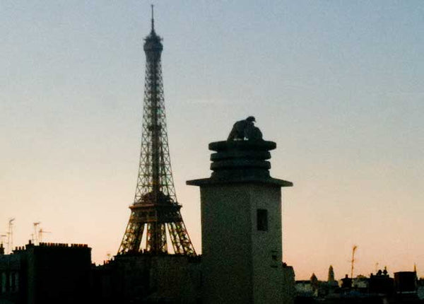 Studio 22m2 - 8ème et dernier étage - Gardien - ascenseur - Double exposition su  Charmante vue sur la Tour Eiffel Entire rental unit vacation rental 22265189