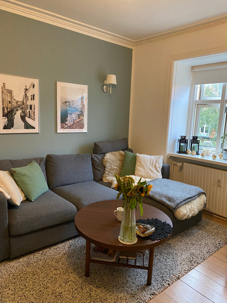 The apartment is located in a quiet area, with parks, cafés and supermarkets. 10  Cosy, light and newly renovated 2 room apartment Entire condo vacation rental 622288163068324826