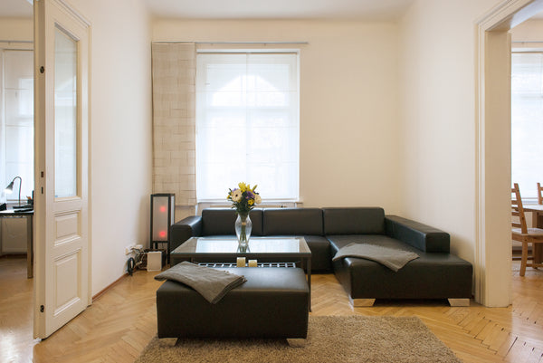 Very light, spacious and modern apartment.<br /><br />Impeccably restored 1905 A Los Angeles, CA Spacious apartment in favorite Prague neighborhood Entire rental unit vacation rental 18899407