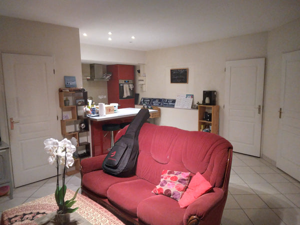 Nous vous accueillons dans notre T2 de 55 m2 situé au centre de Lyon dans le 7èm Lyon, France Lyon 7e : Appartement T2 Entire rental unit vacation rental 755760849232509107