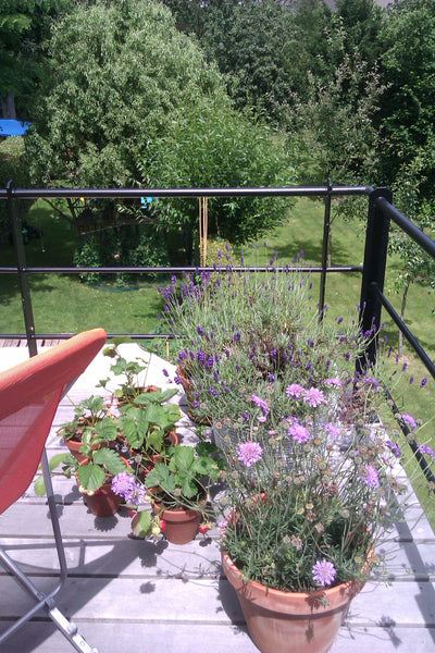 We welcome you in our beautiful house in a quiet neighbourhood on walking distan Ghent, Belgium Room with cosy terrace close to city centre Private room in townhouse vacation rental 27915686