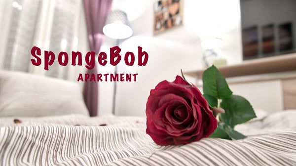 SpongeBob Apartment is located in Vienna, 2.1 km from Wiener Stadthalle, 2.1 km  Vienna, Austria SpongeBob Apartment Entire rental unit vacation rental 22684249